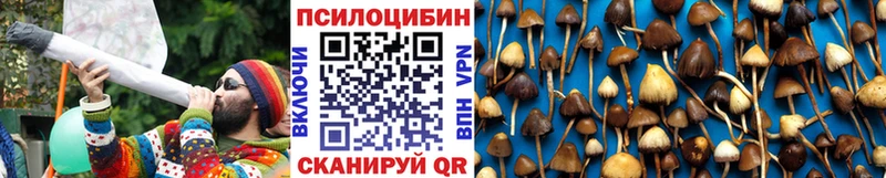 Псилоцибиновые грибы Cubensis  закладка  Володарск 