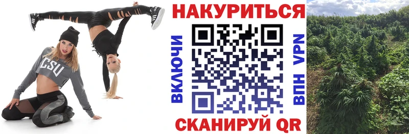 Канабис индика  Володарск 